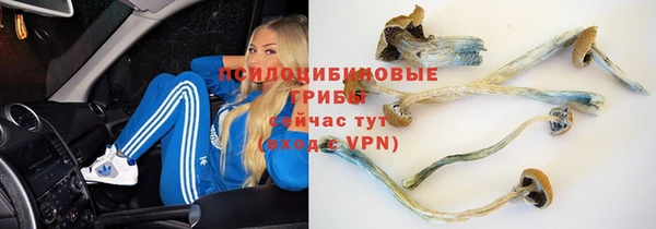 молекула духа Алексеевка