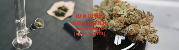 молекула духа Алексеевка