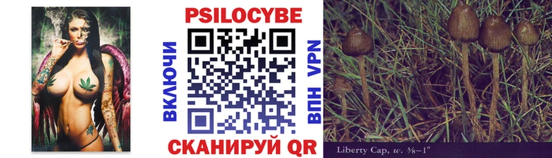 Псилоцибиновые грибы Cubensis  Черемхово 