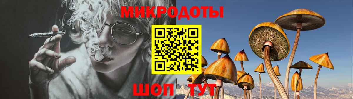 Галлюциногенные грибы Psilocybe  Галлюциногенные грибы мицелий  Черемхово  закладки  Вход с VPN 